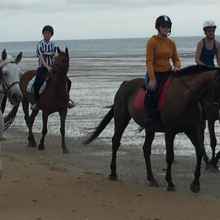 Decouverte D'Un Haras Proche Du Mont St Michel Hambye Esterno foto