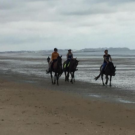 Decouverte D'Un Haras Proche Du Mont St Michel Hambye Esterno foto