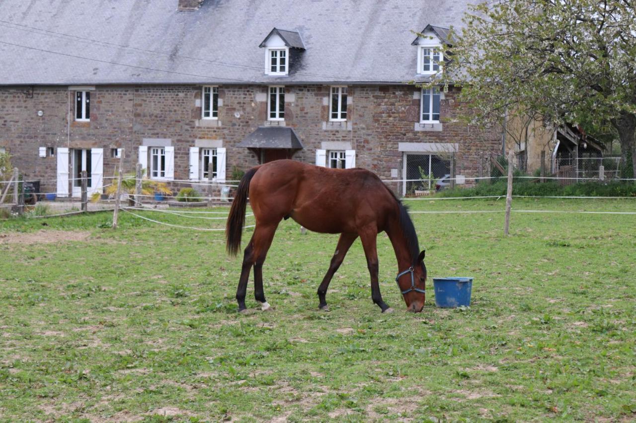 Decouverte D'Un Haras Proche Du Mont St Michel Hambye Esterno foto