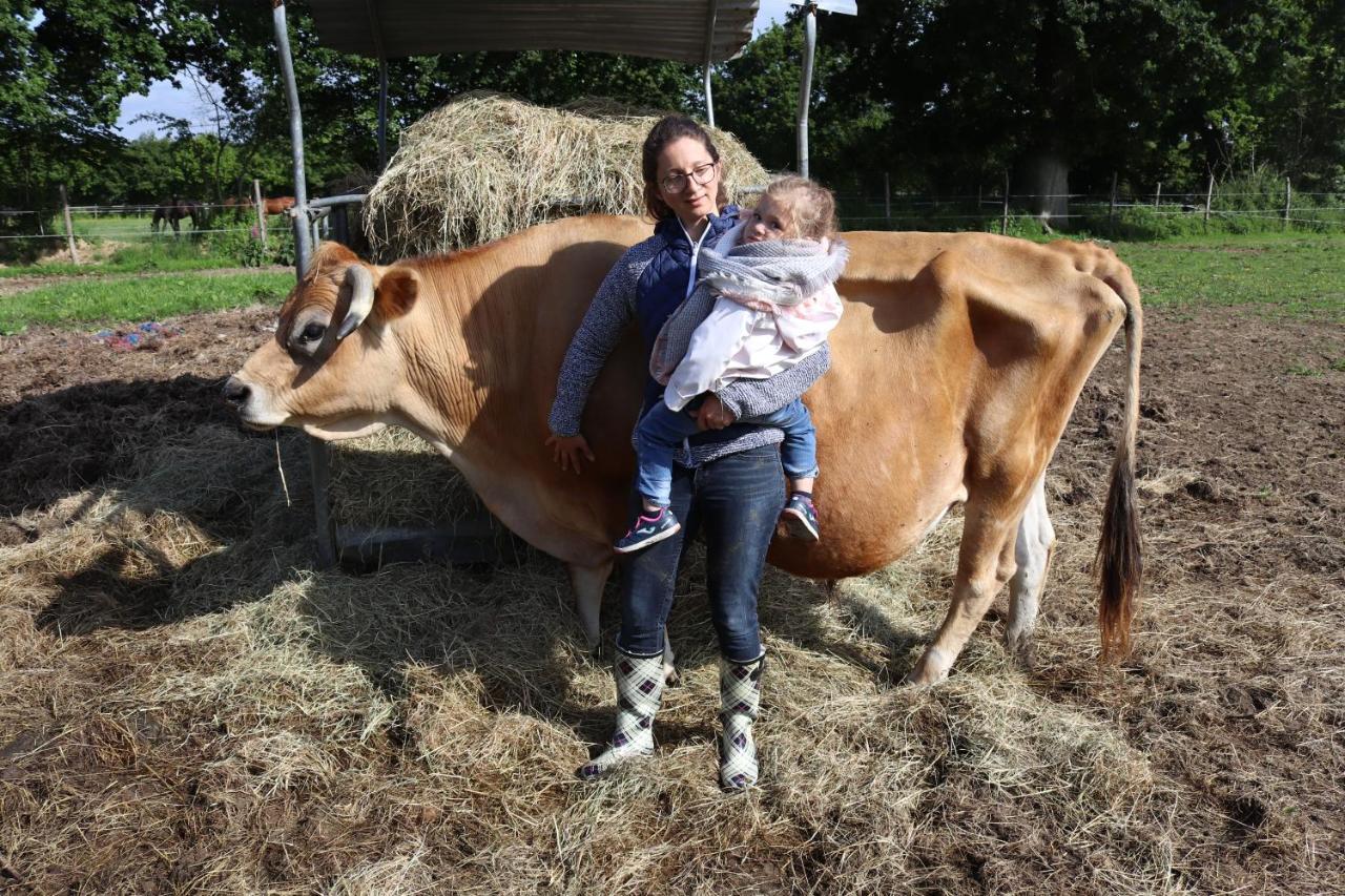 Decouverte D'Un Haras Proche Du Mont St Michel Hambye Esterno foto