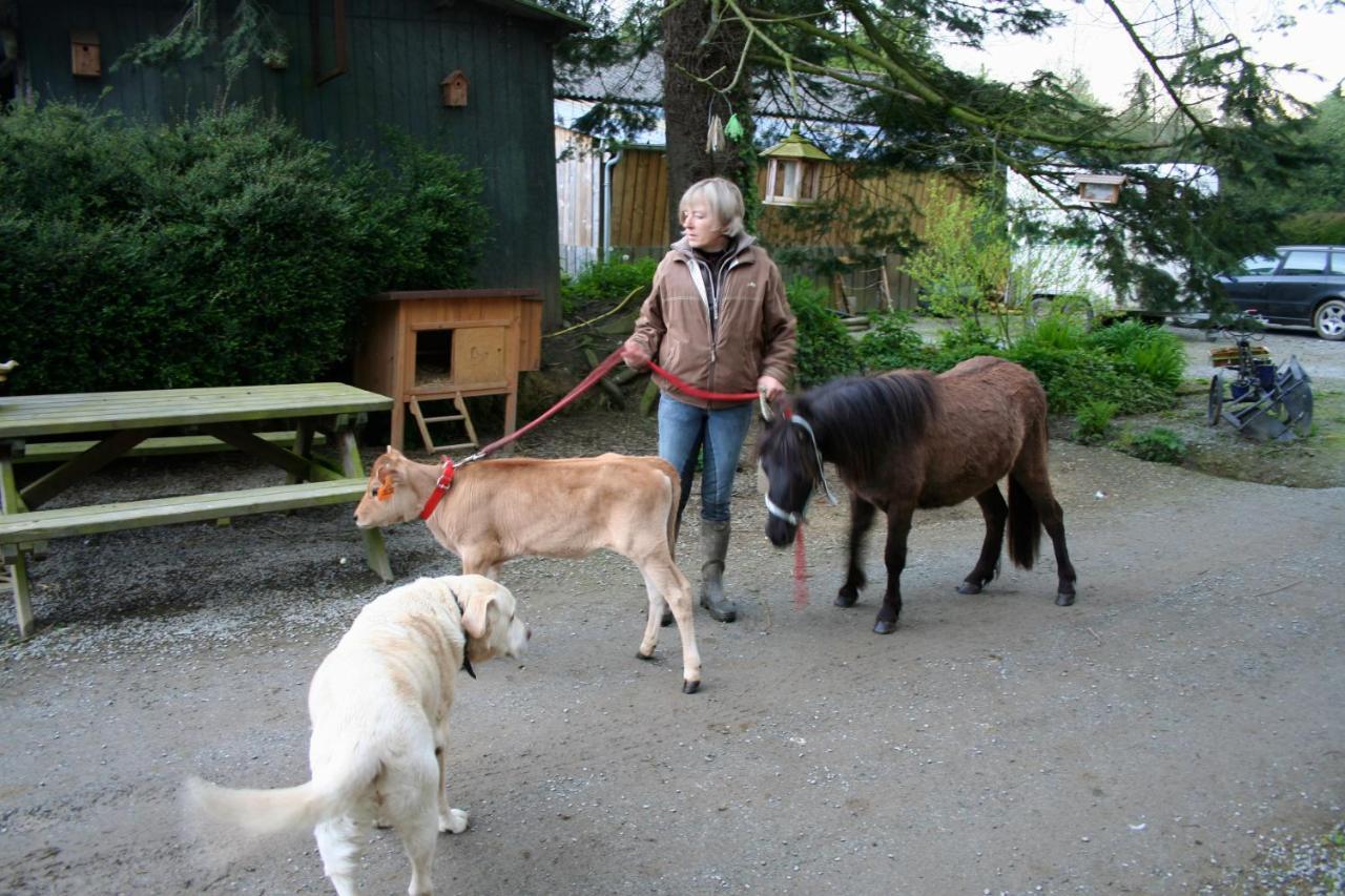 Decouverte D'Un Haras Proche Du Mont St Michel Hambye Esterno foto