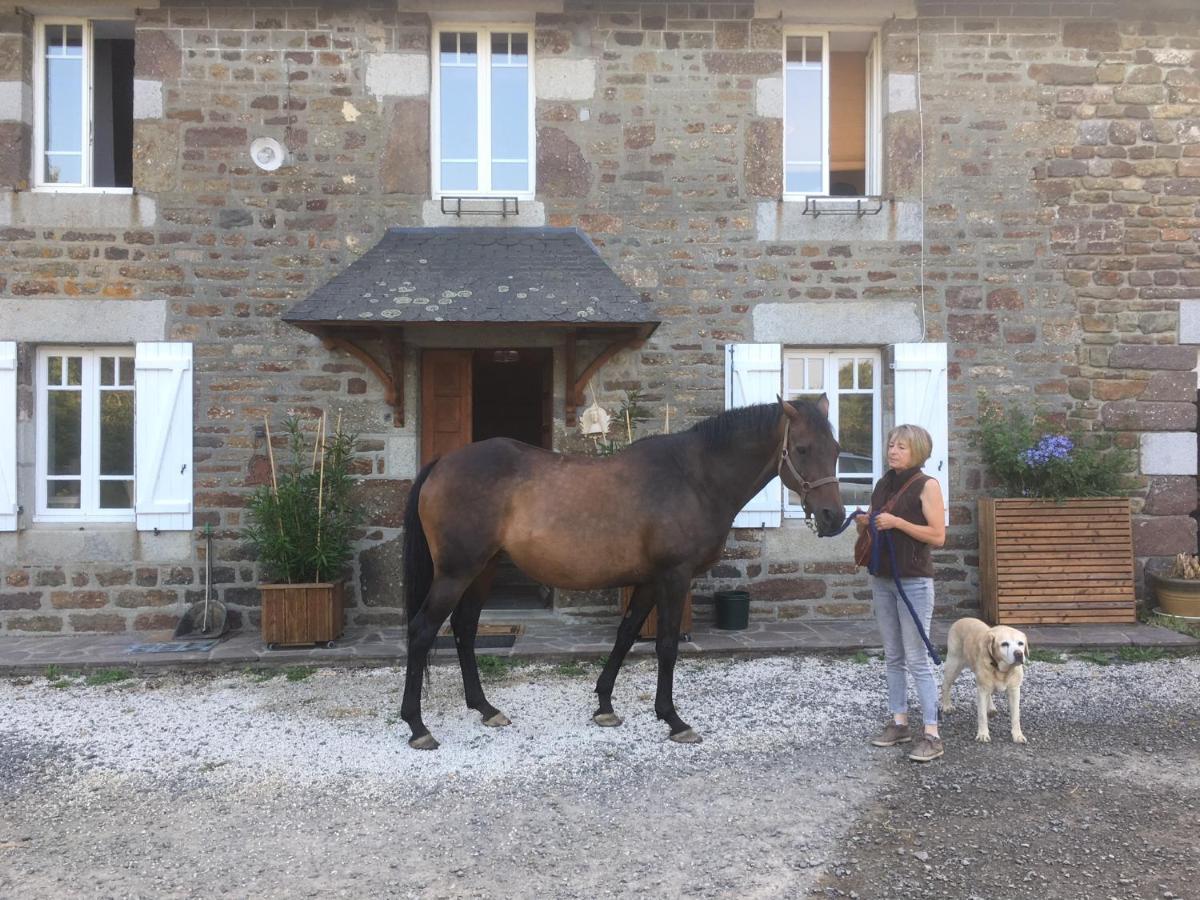 Decouverte D'Un Haras Proche Du Mont St Michel Hambye Esterno foto