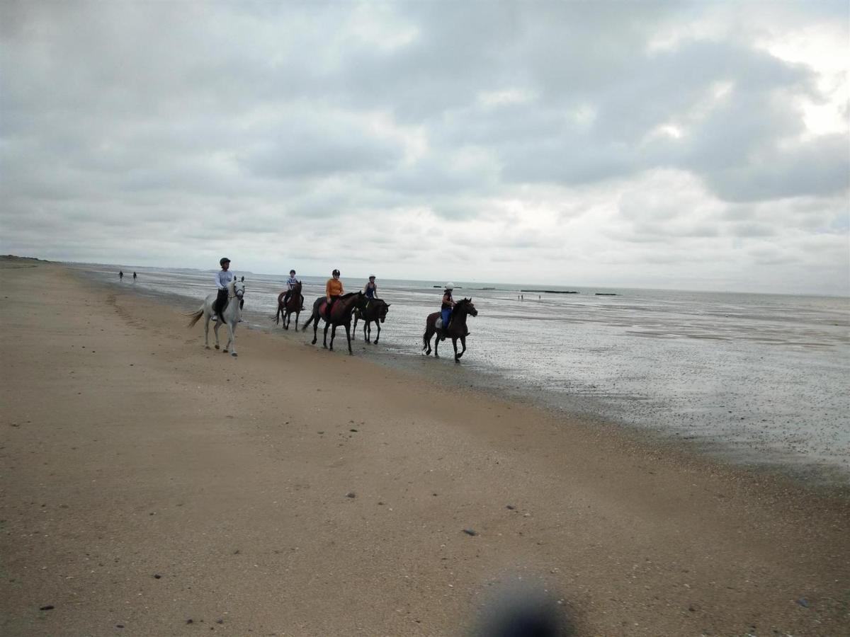 Decouverte D'Un Haras Proche Du Mont St Michel Hambye Esterno foto