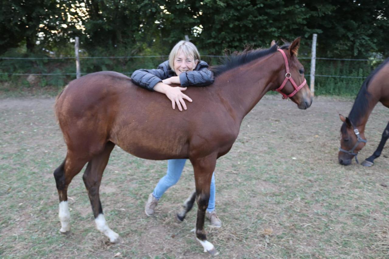 Decouverte D'Un Haras Proche Du Mont St Michel Hambye Esterno foto