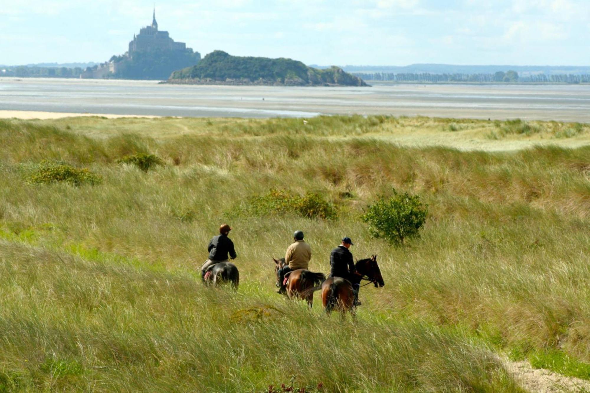 Decouverte D'Un Haras Proche Du Mont St Michel Hambye Esterno foto