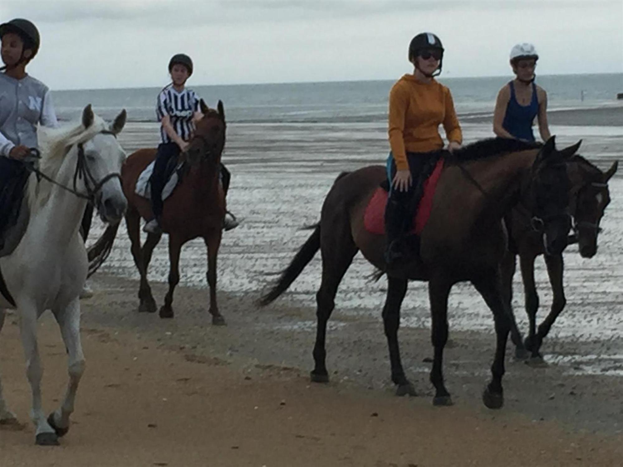 Decouverte D'Un Haras Proche Du Mont St Michel Hambye Esterno foto