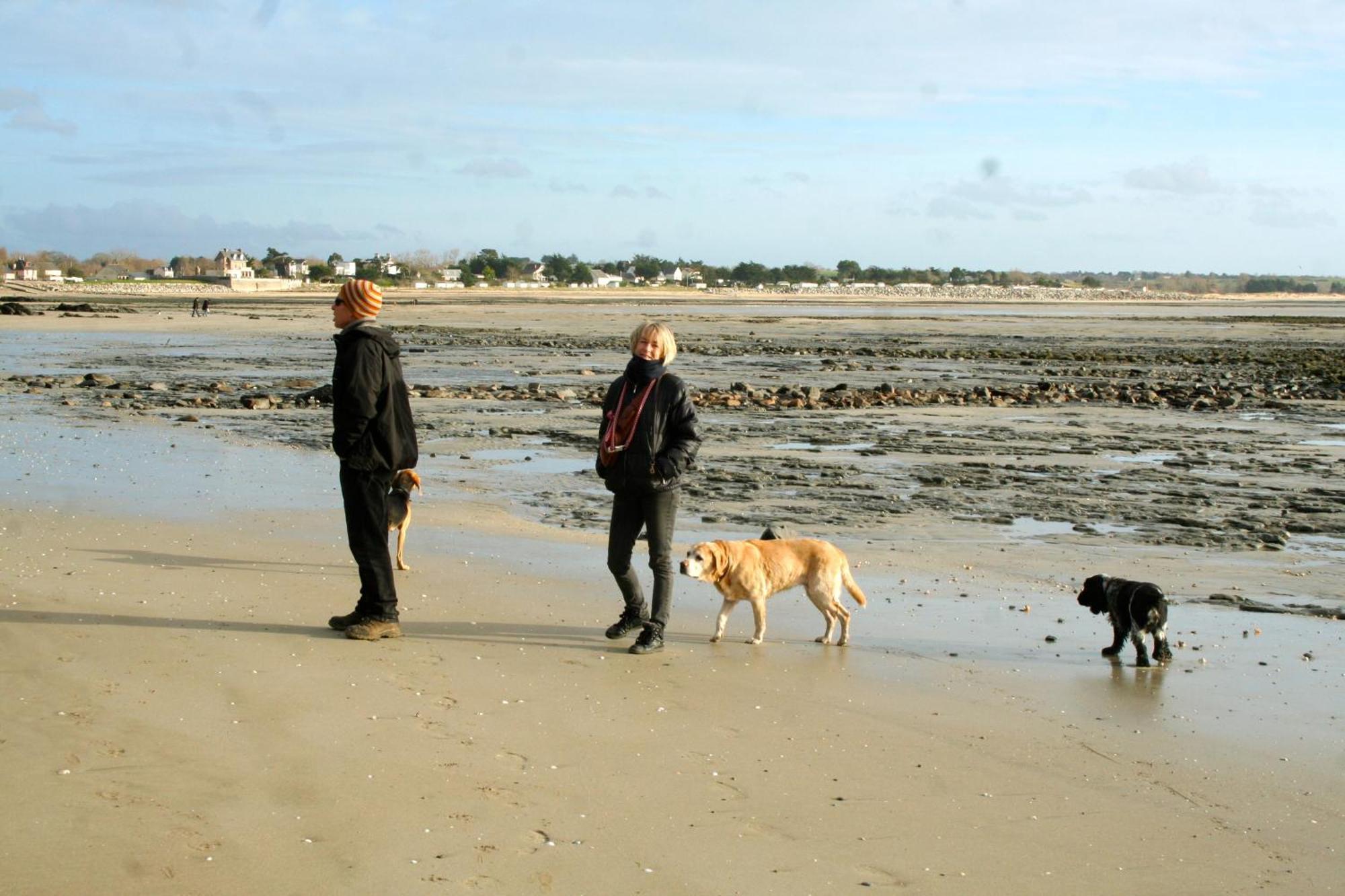 Decouverte D'Un Haras Proche Du Mont St Michel Hambye Esterno foto