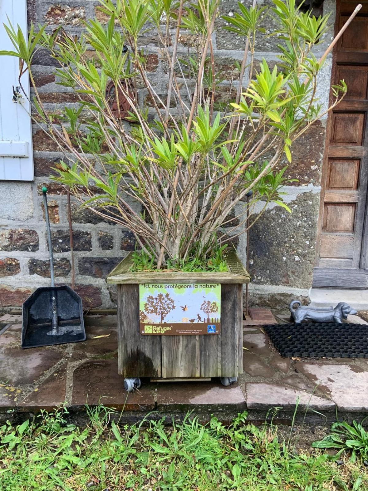 Decouverte D'Un Haras Proche Du Mont St Michel Hambye Esterno foto