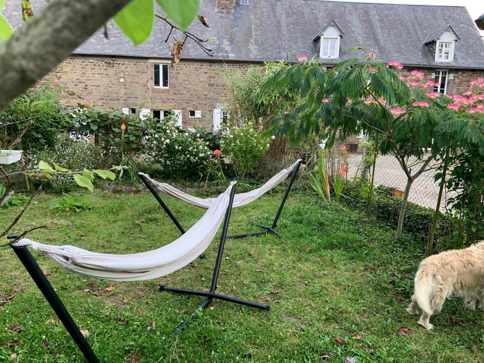 Decouverte D'Un Haras Proche Du Mont St Michel Hambye Esterno foto