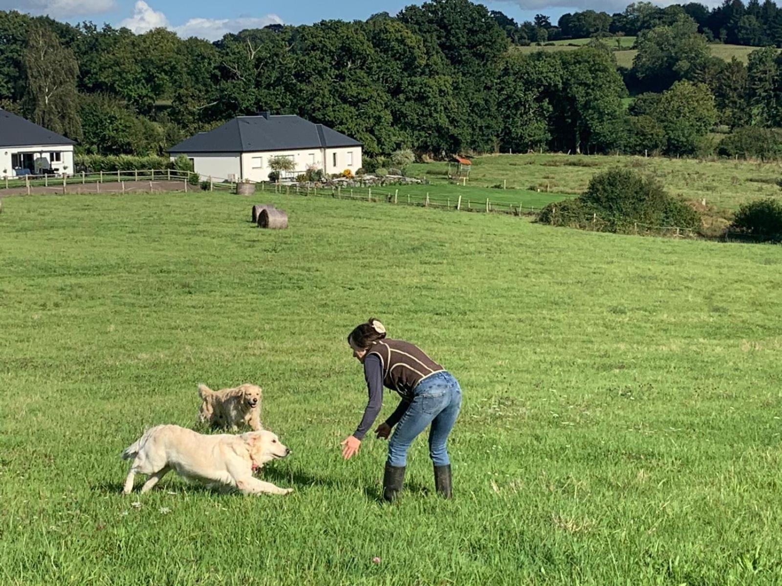 Decouverte D'Un Haras Proche Du Mont St Michel Hambye Esterno foto
